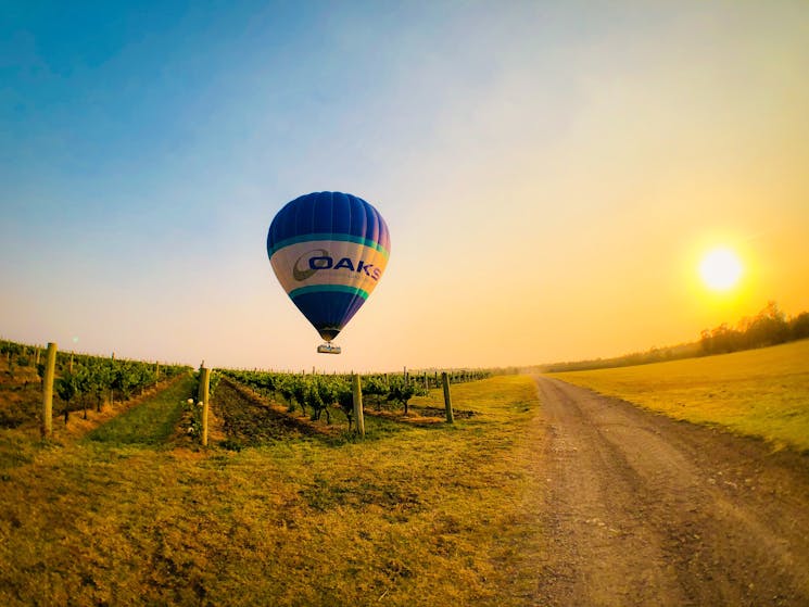 Balloon Aloft balloon flys over the Hunter Valley vineyards at sunrise