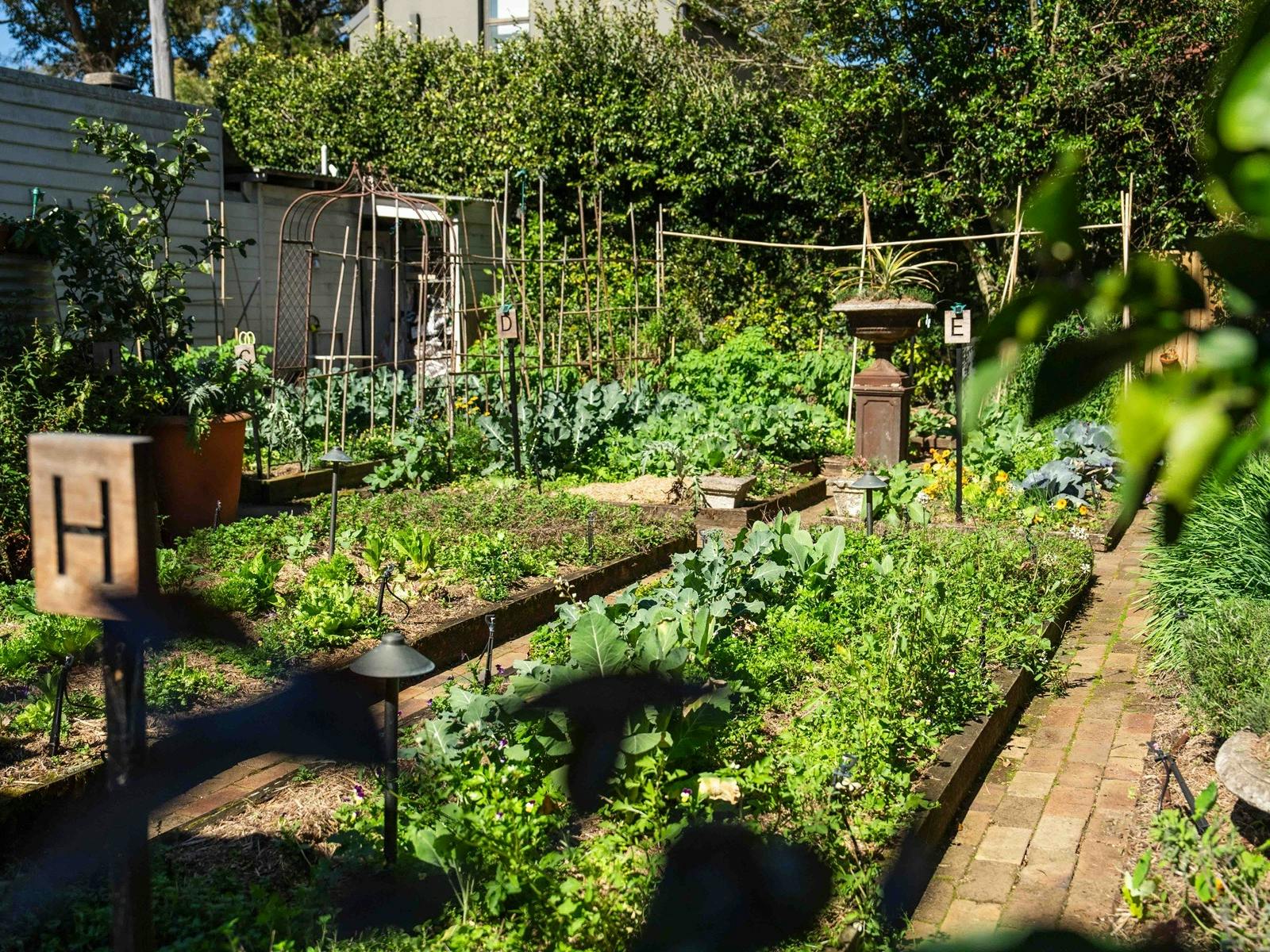 Long shot of outdoor garden