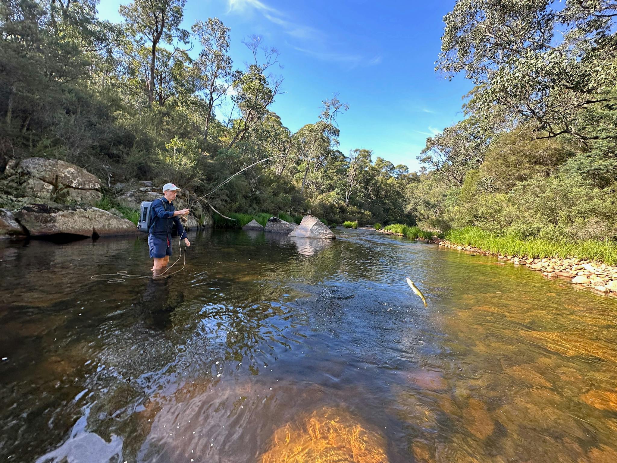 Fly Fishing Guide Mansfield