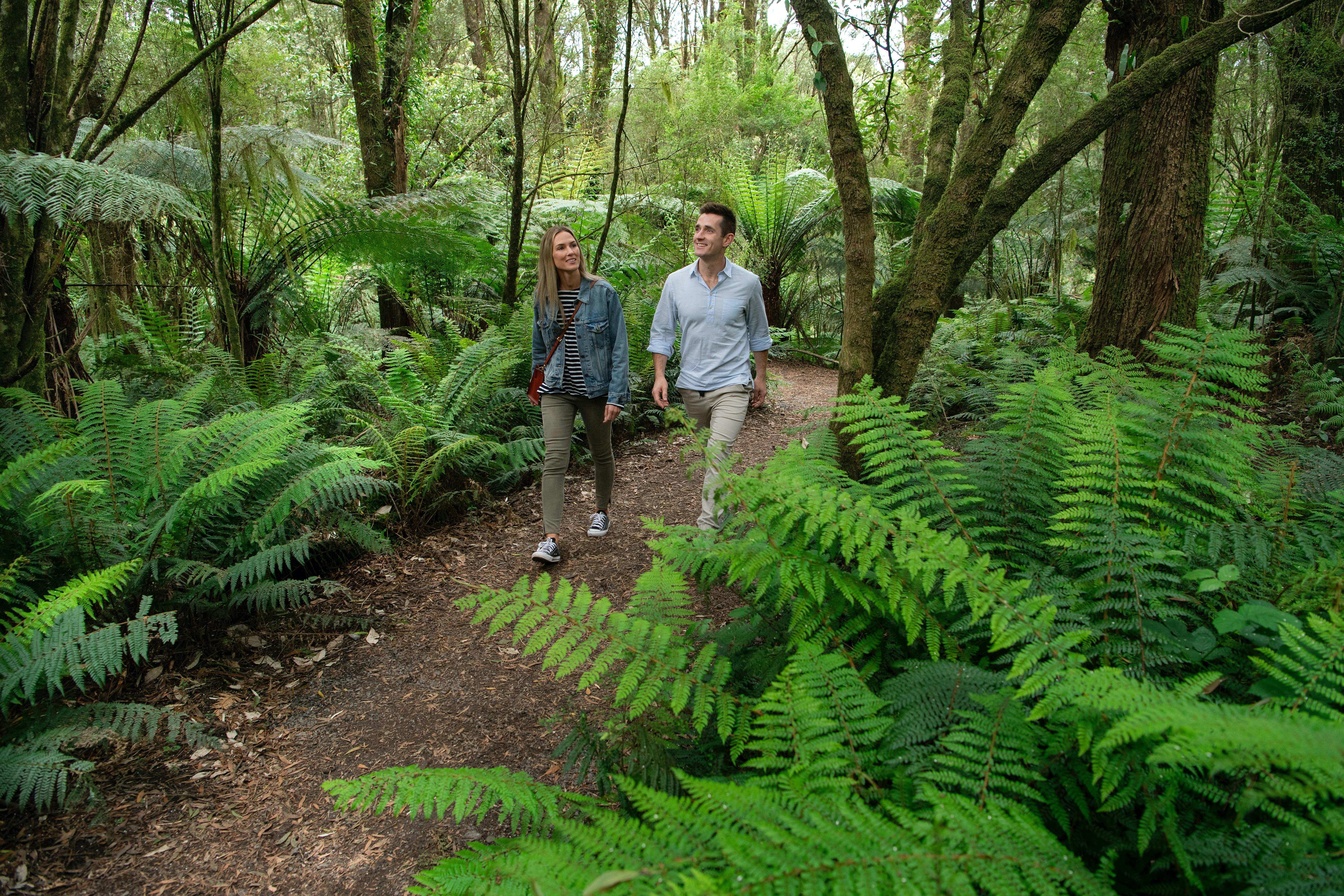 We take you on a guided rainforest walk