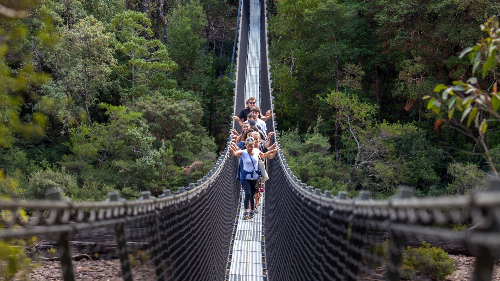 Swinging Bridges @ Tahune Airwalk