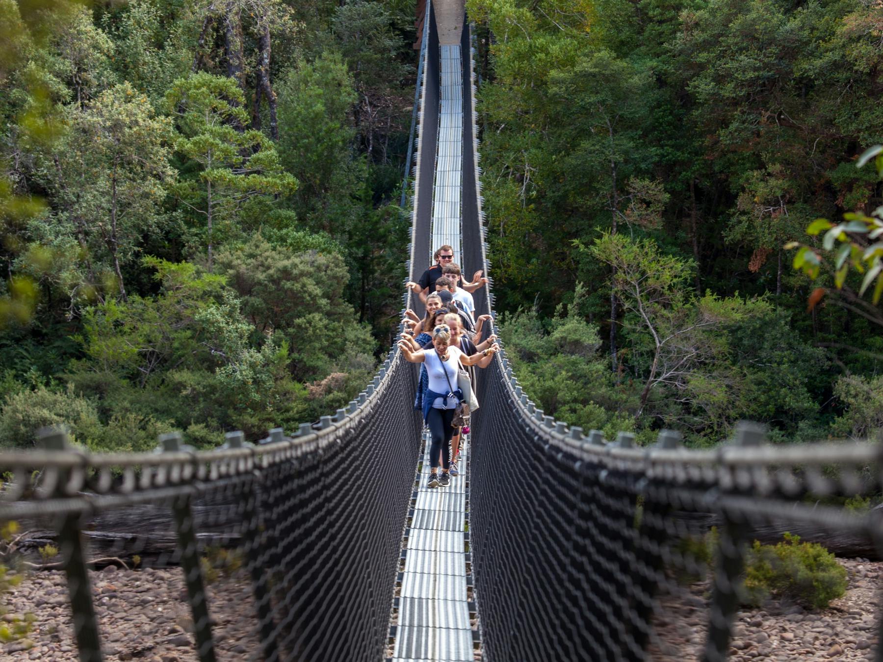 Swinging Bridges @ Tahune Airwalk