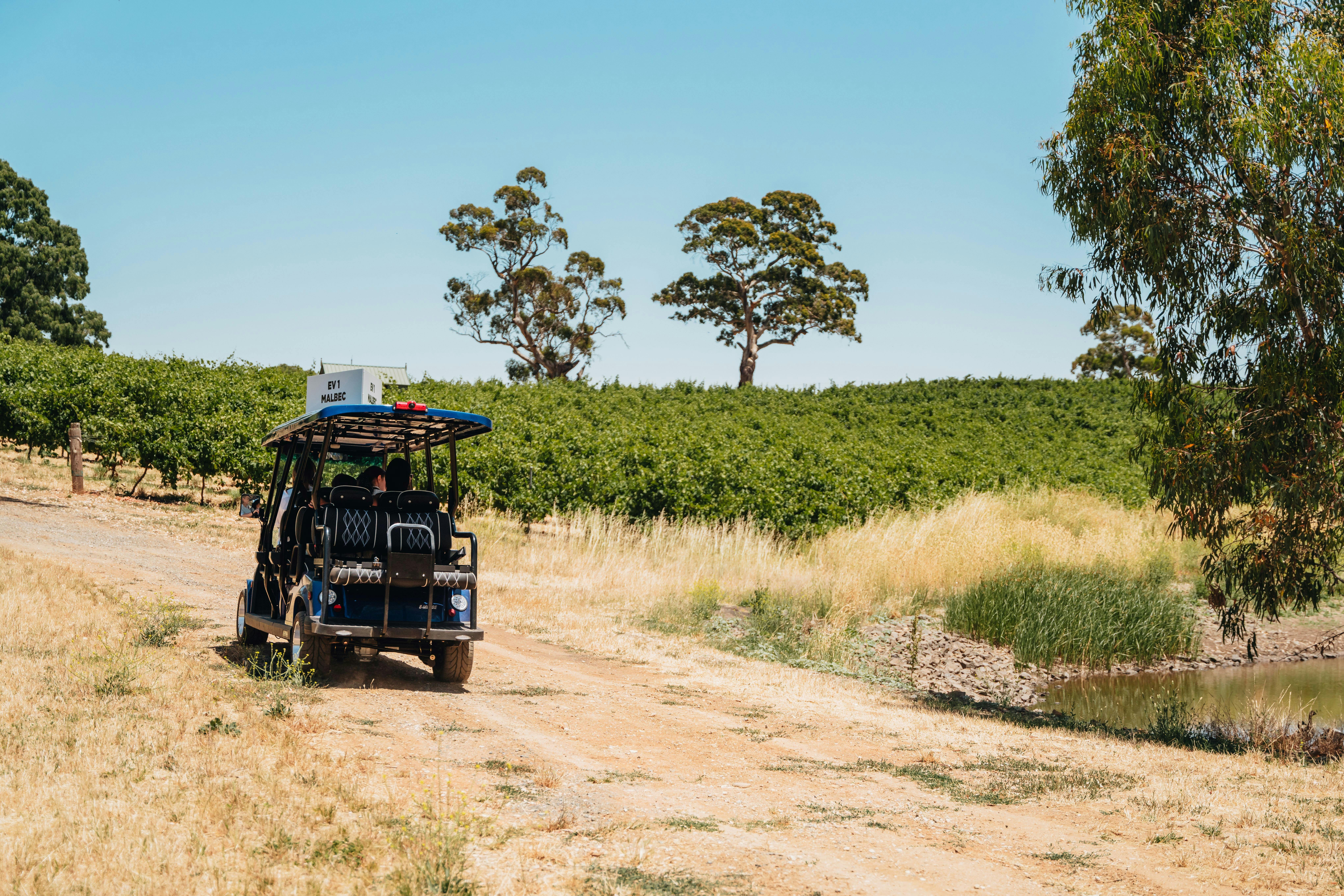 EcoVine Explorer - Vineyard e-Cart Tours