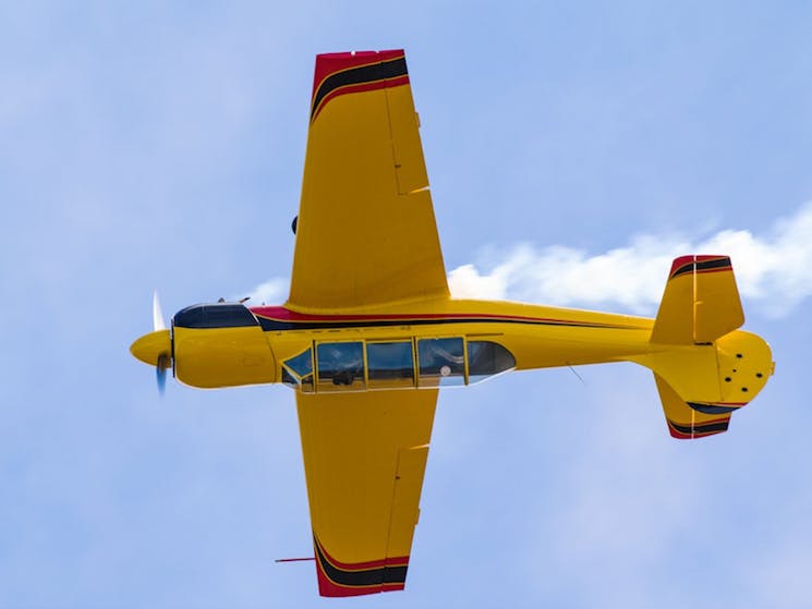 Introduction Warbird Aerobatic Flight