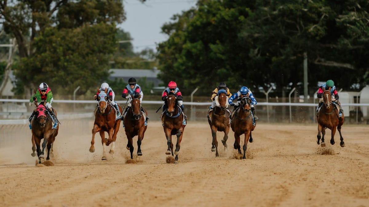 Thoroughbred Horses on sand track