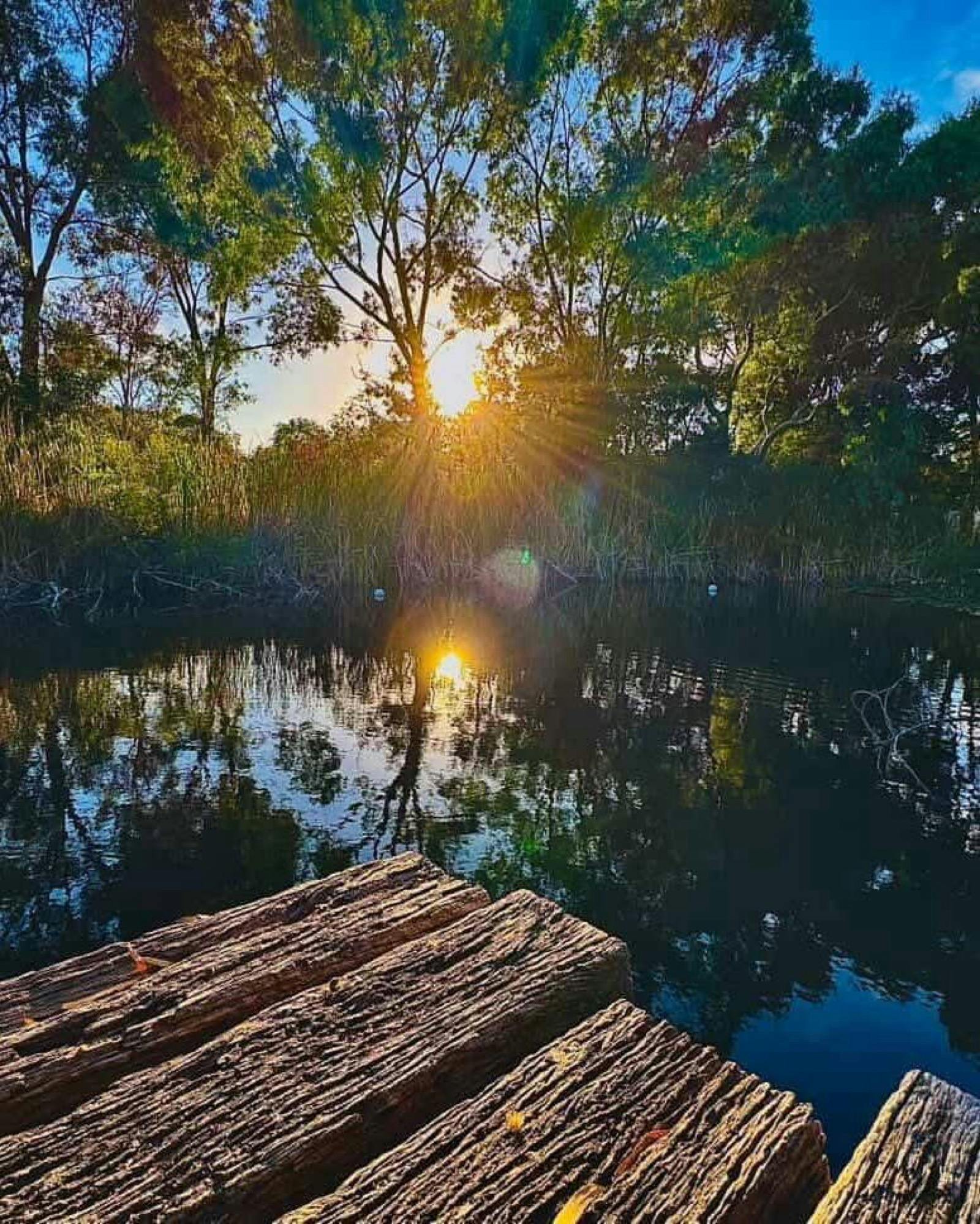 Sunrise