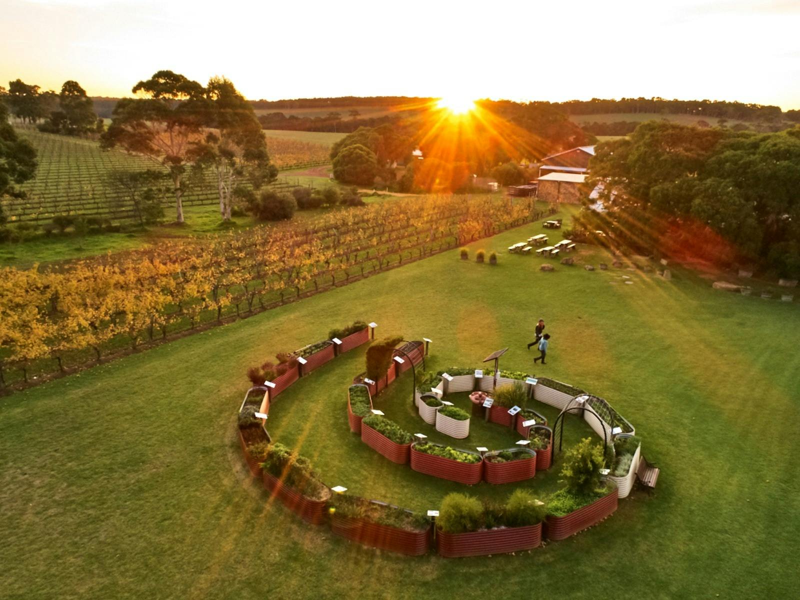 The Journey - Reserve Experience