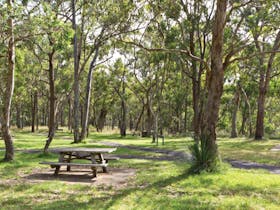 Wollomombi Gorge and Falls Picnic Area