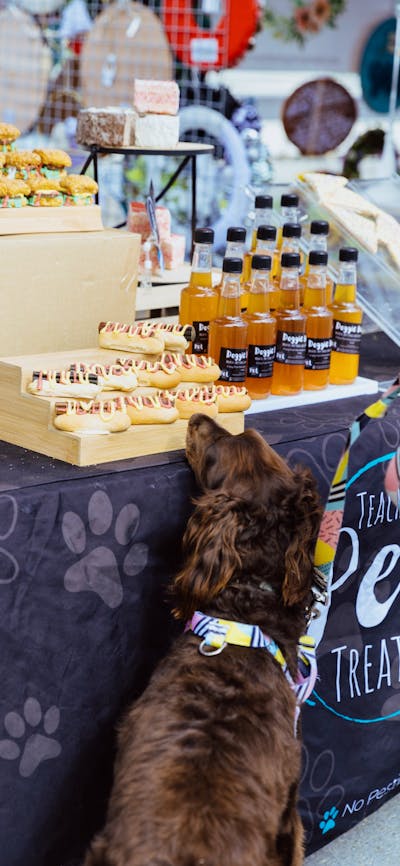 Dog treat stall