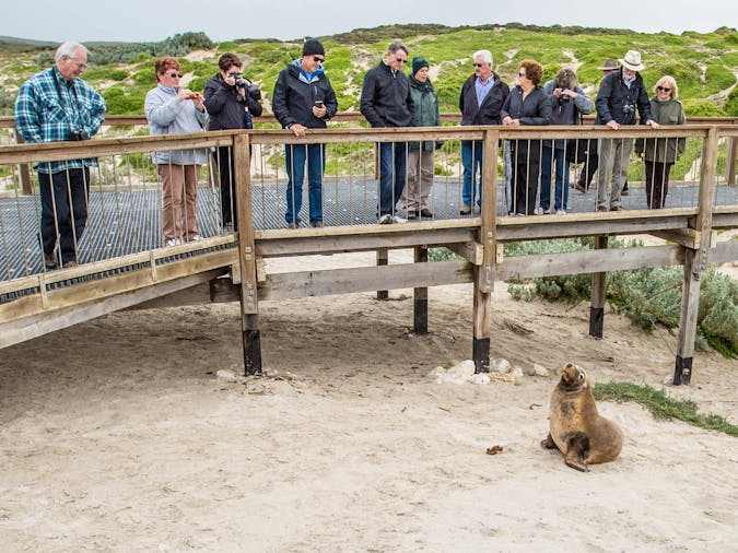 Overnight Tour 2 Day Best of Kangaroo Island