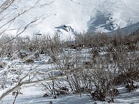 Falls Creek Backcountry Tours