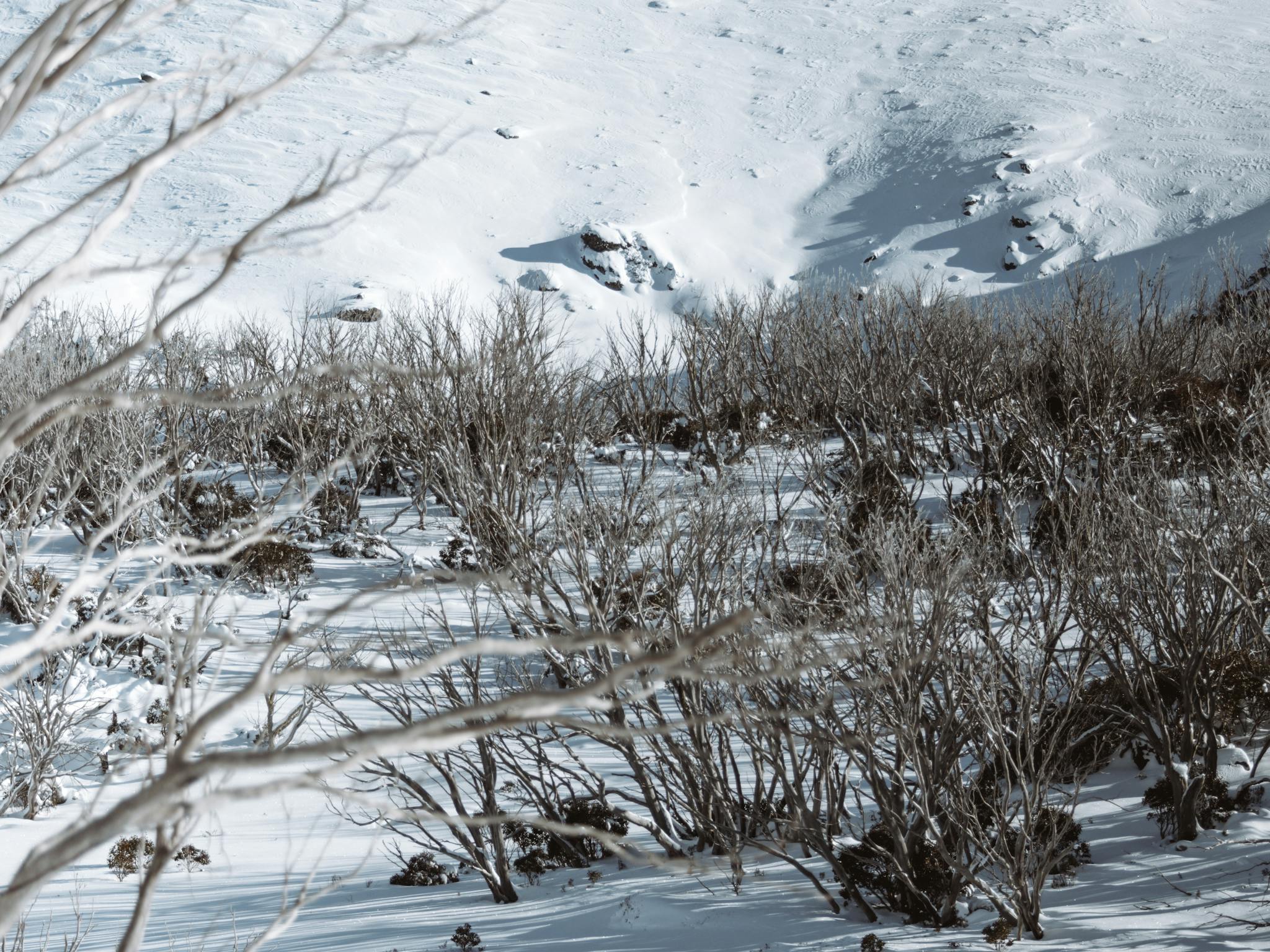 Falls Creek Backcountry Tours