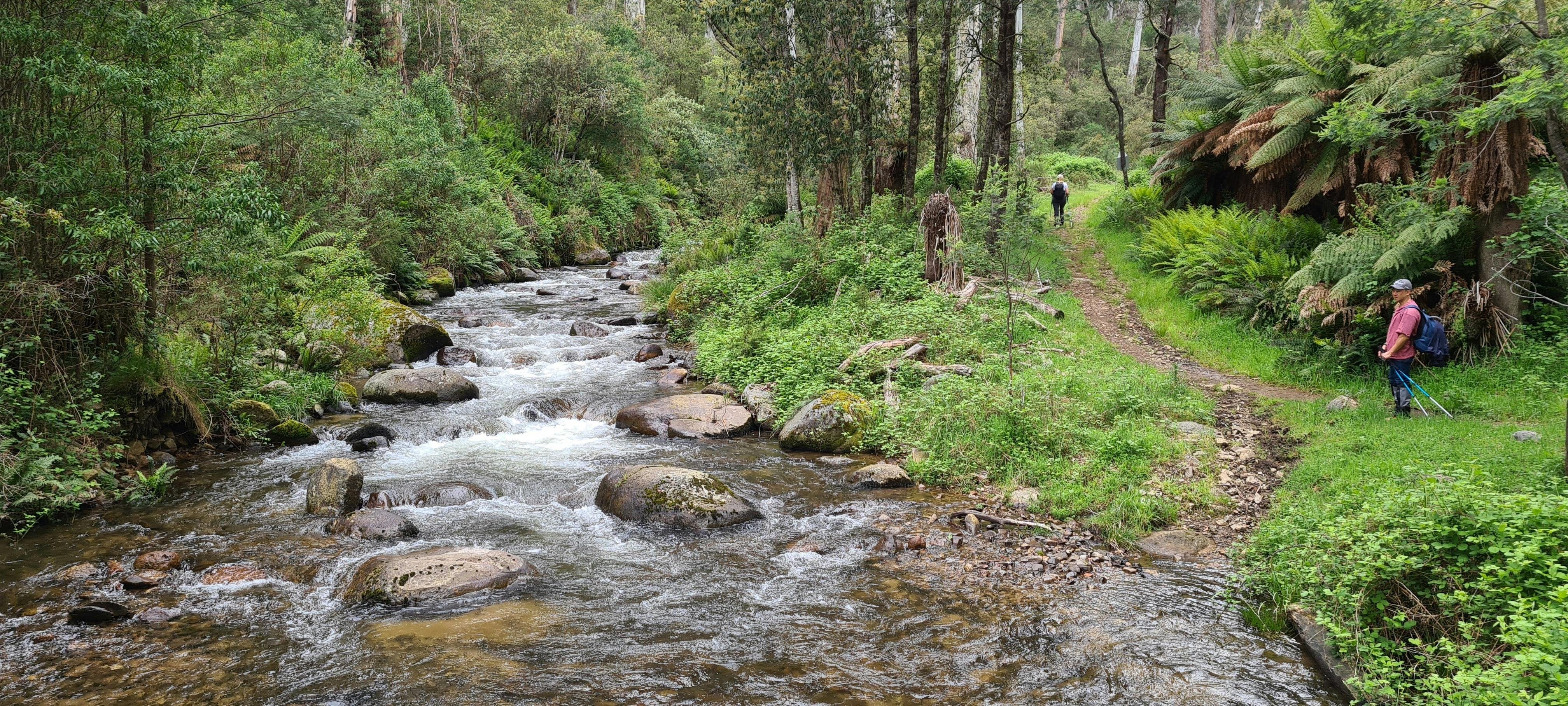 Hikers on the Delatite River Trail
