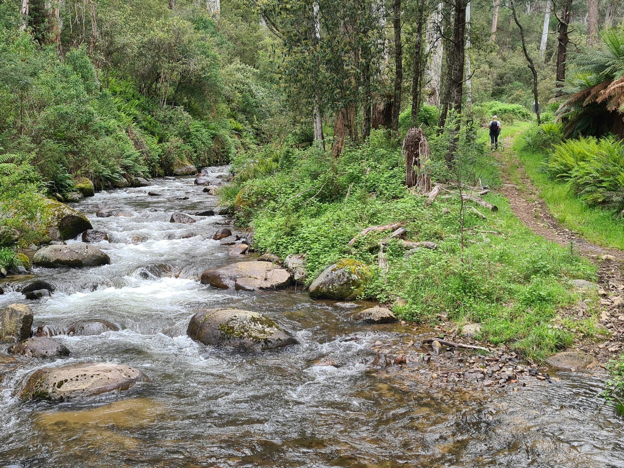 Hikers on the Delatite River Trail