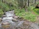 Hikers on the Delatite River Trail