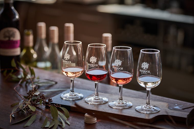 Guided Wetlands Tour and Tasting