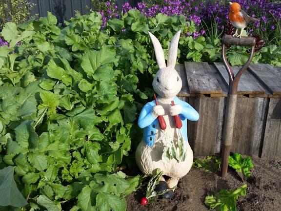 Beatrix Potter Peter Rabbit (TM) Garden