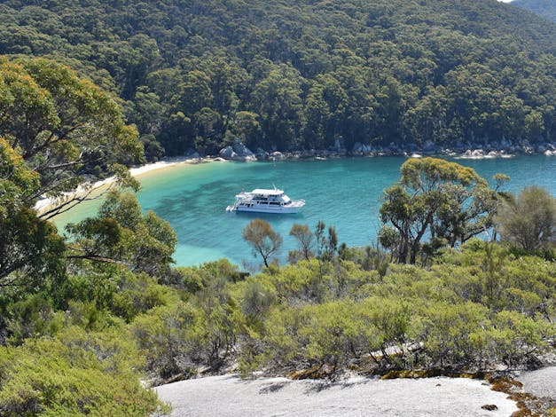 Wildlife Coast Cruises