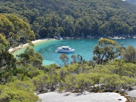 Wildlife Coast Cruises