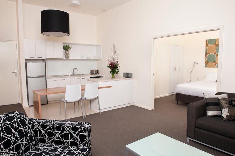 SUPERIOR ONE BEDROOM ANNEX APARTMENT