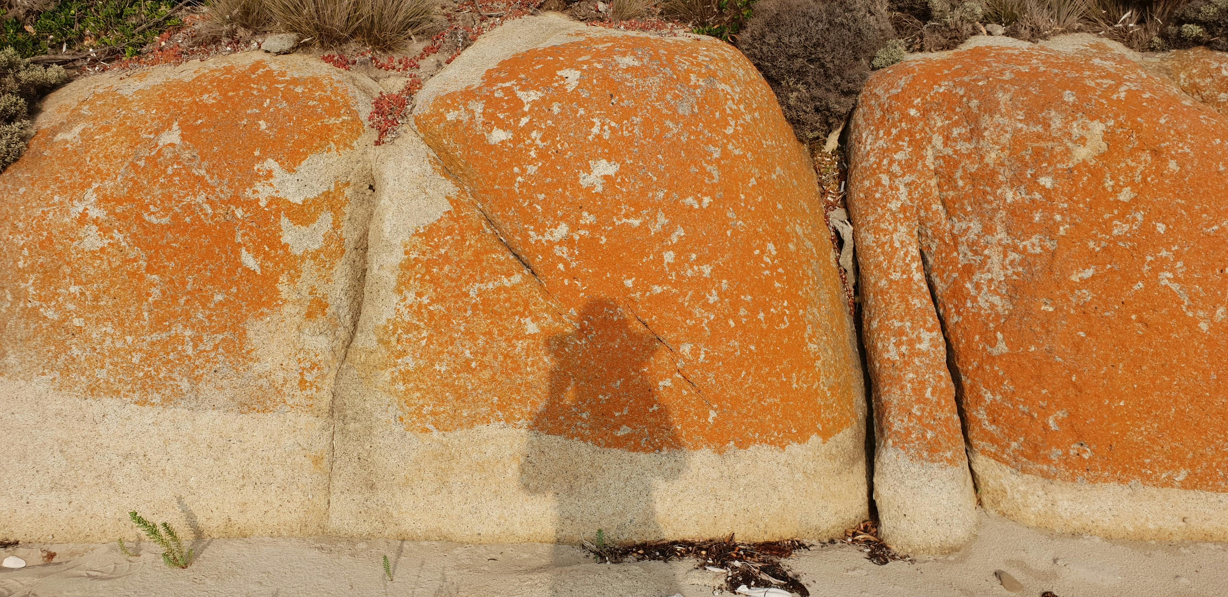 The Flinders Island Wild Weekend