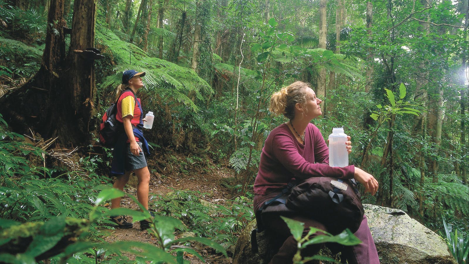 Binna Burra, Lamington National Park