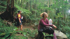 Binna Burra, Lamington National Park