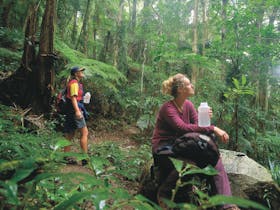 Binna Burra, Lamington National Park