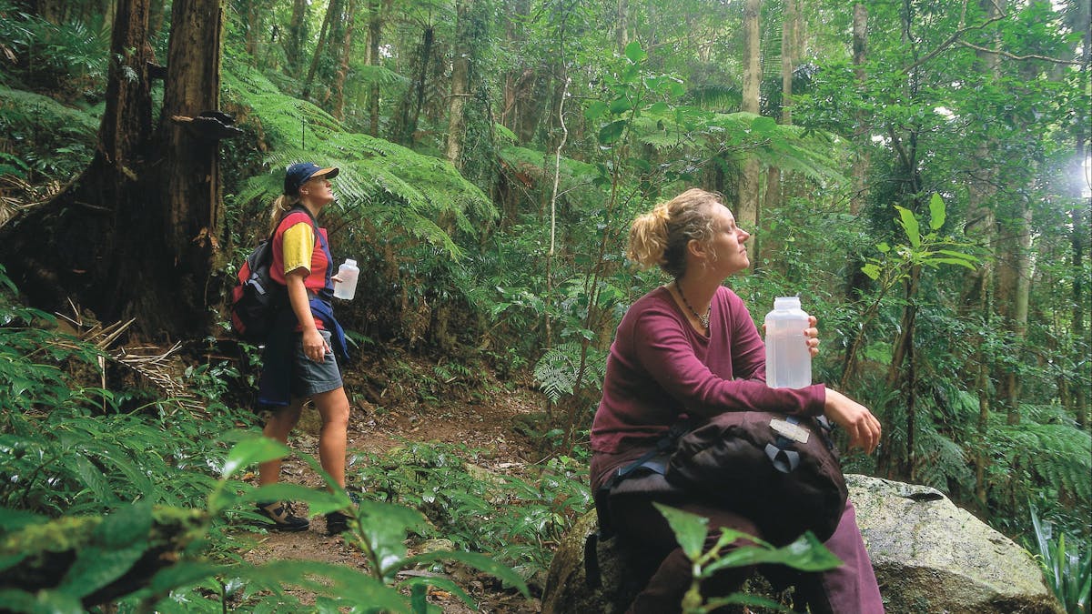 Two bushwalkers in raiforest, Binna Burra section<,Lamington National Park