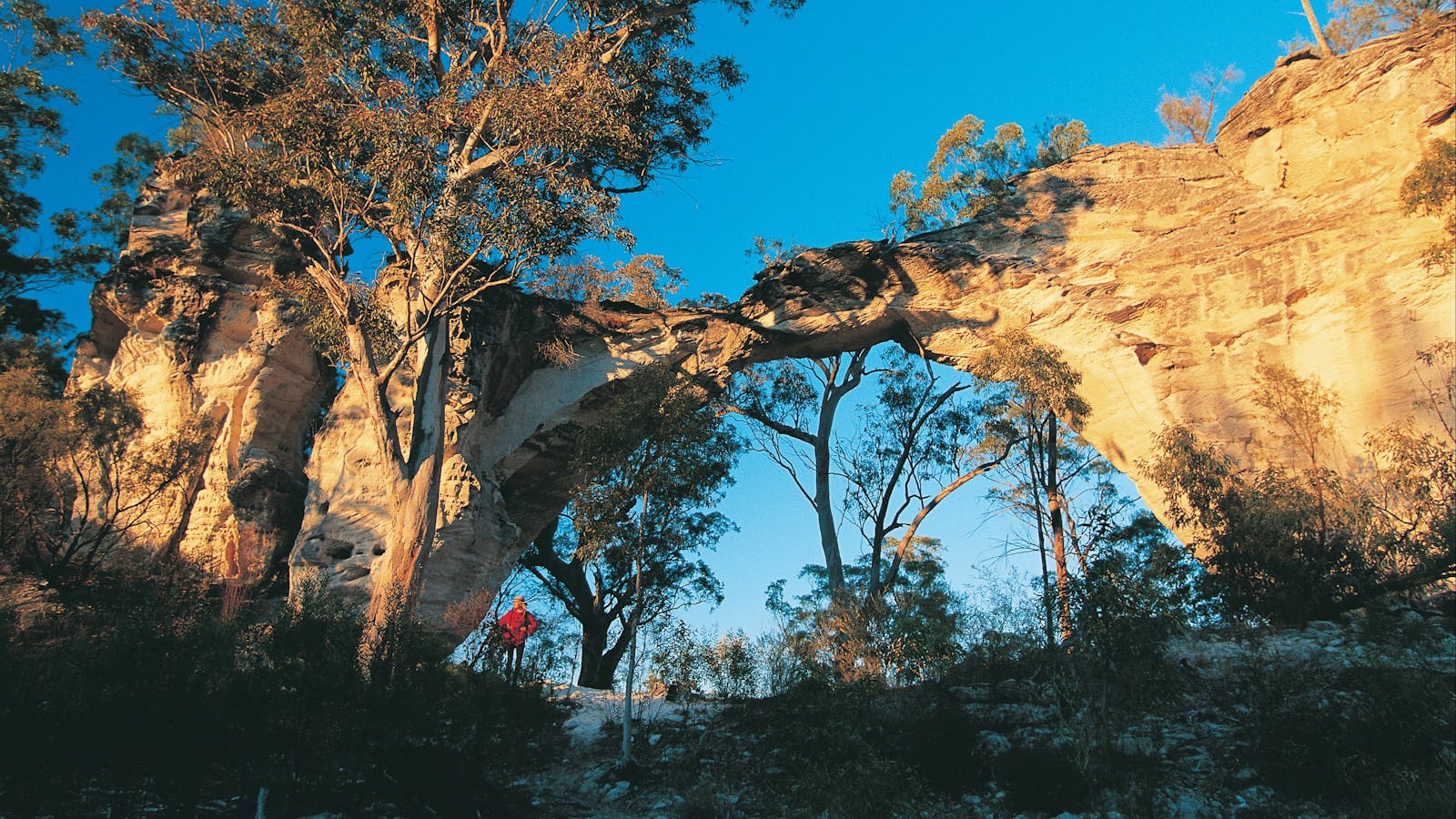 Mount Moffatt,  Carnarvon National Park