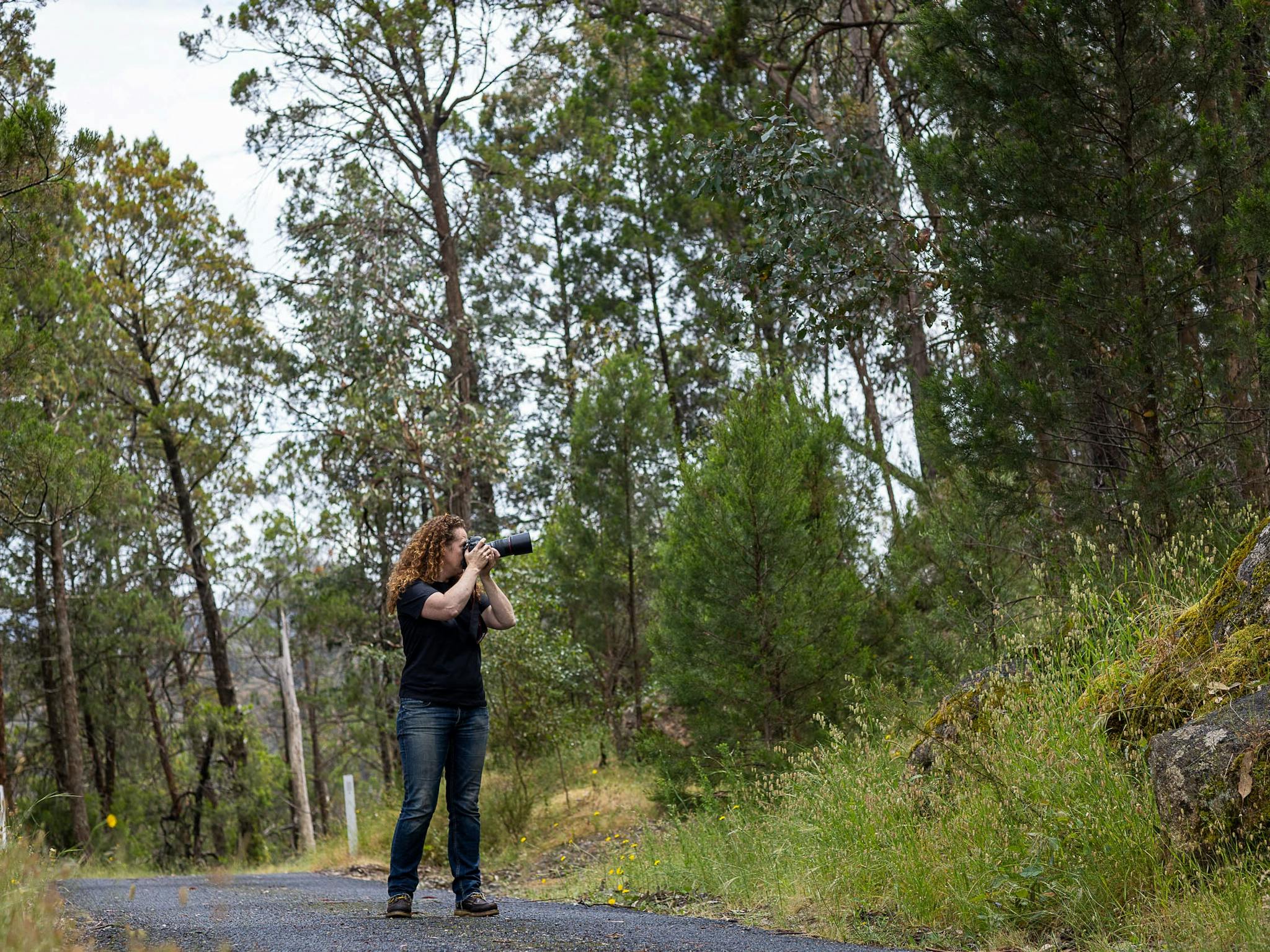 Woman standing with camera taking photos of trees in a park