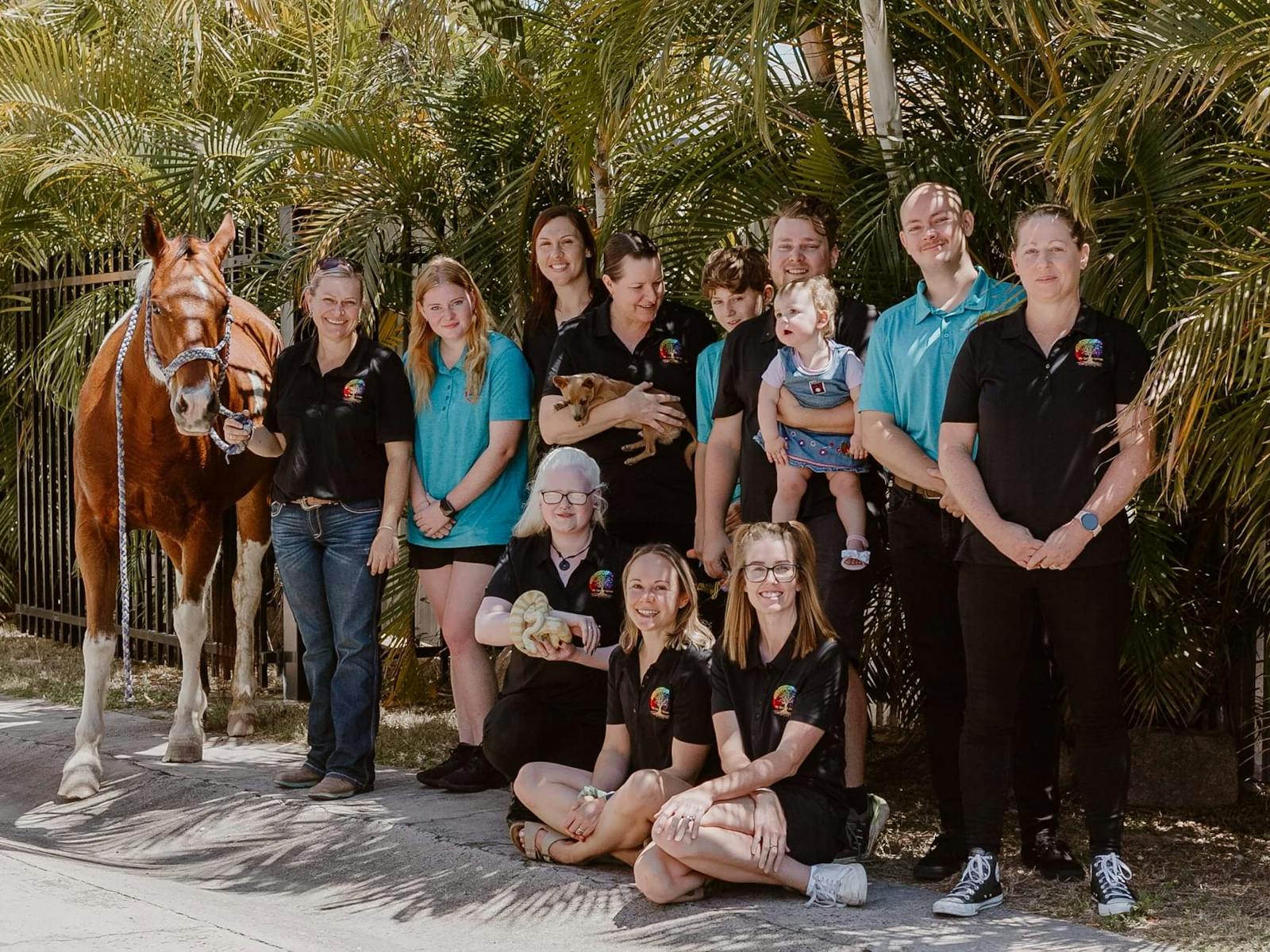 team photo showing some of the animals used in therapy- horse, snake, dog team photo showing some of the animals used in therapy- horse, snake, dog