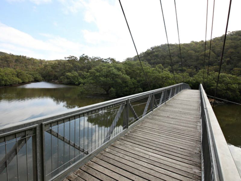 Gibberagong Mangrove boardwalk. Photo: Andy Richards