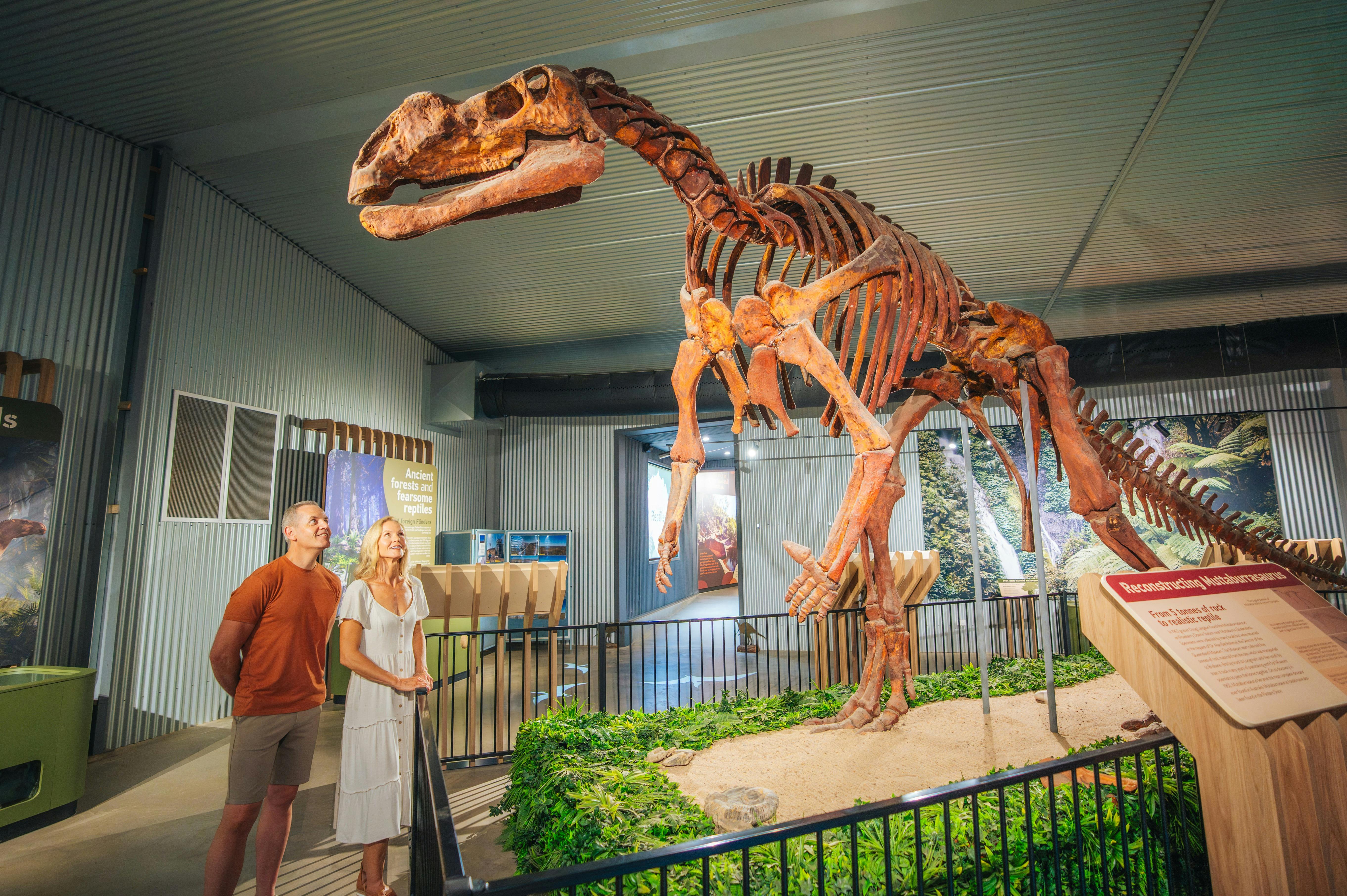 Inside Flinders Discover Centre you will come face to face with a replica of the Muttaburrasaurus.