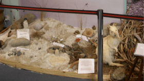 AlSt Helens History Room