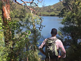 Views of Cowan Creek from the Sphinx Memorial to Bobbin Head loop track. Photo: Natasha Webb/OEH