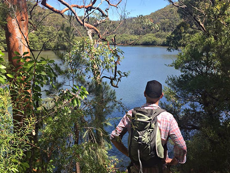 Views of Cowan Creek from the Sphinx Memorial to Bobbin Head loop track. Photo: Natasha Webb/OEH