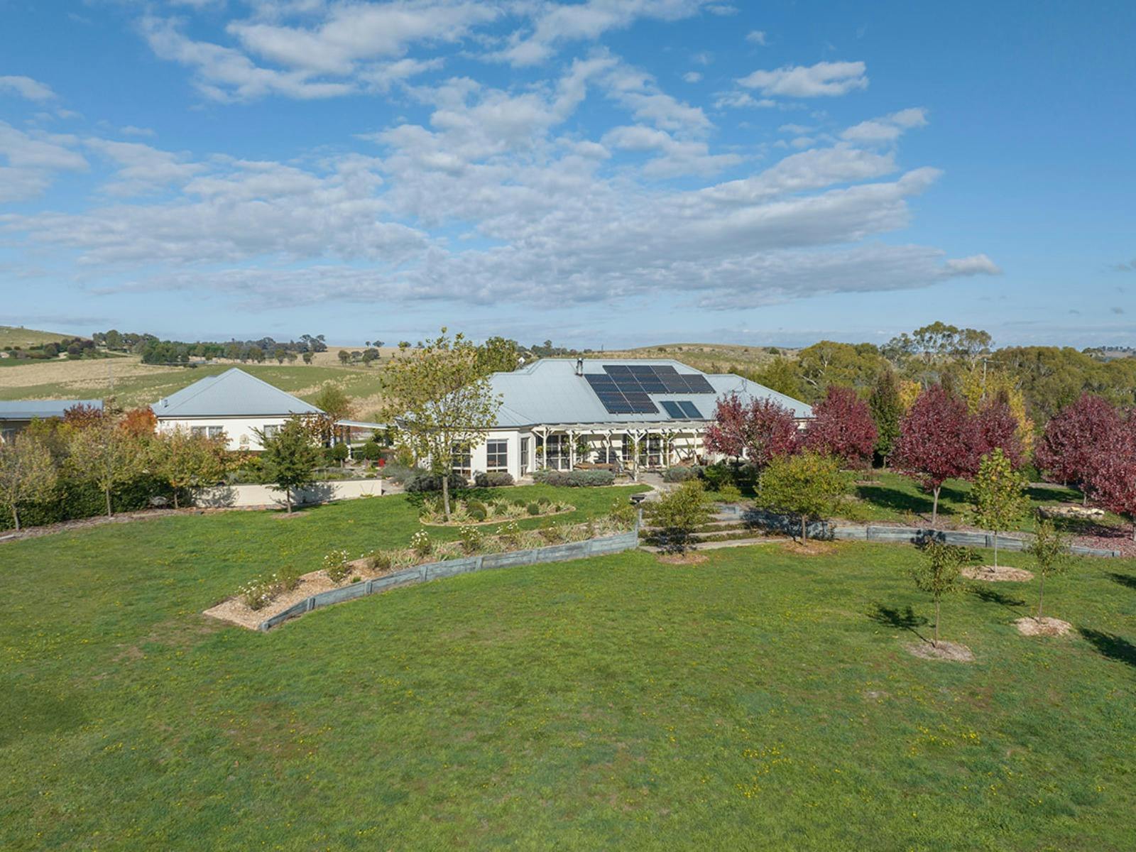 Large garden with lots of plants, well maintained, perfect spot to relax and unwind