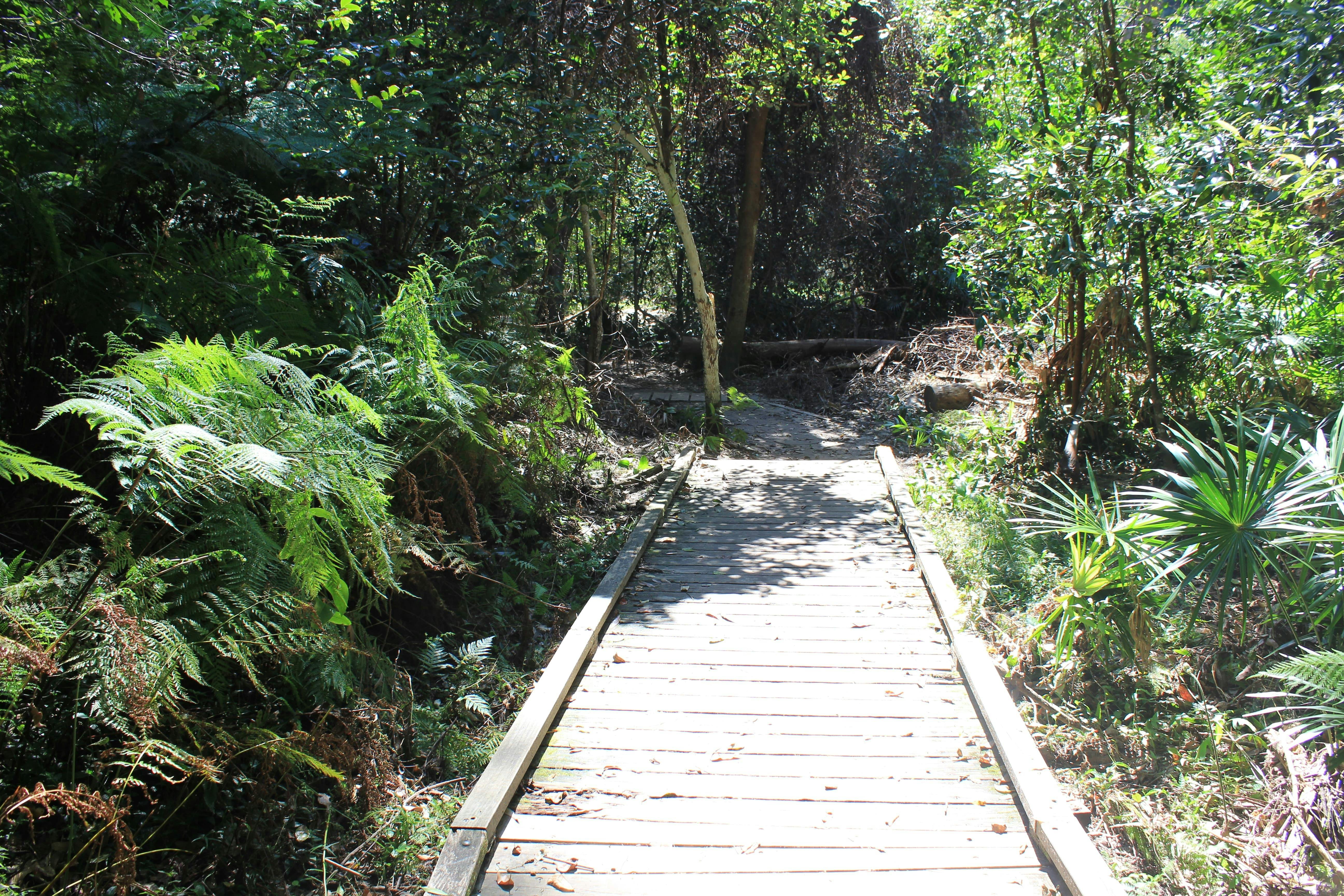 Erkunden Sie Jim - Rivett Walk