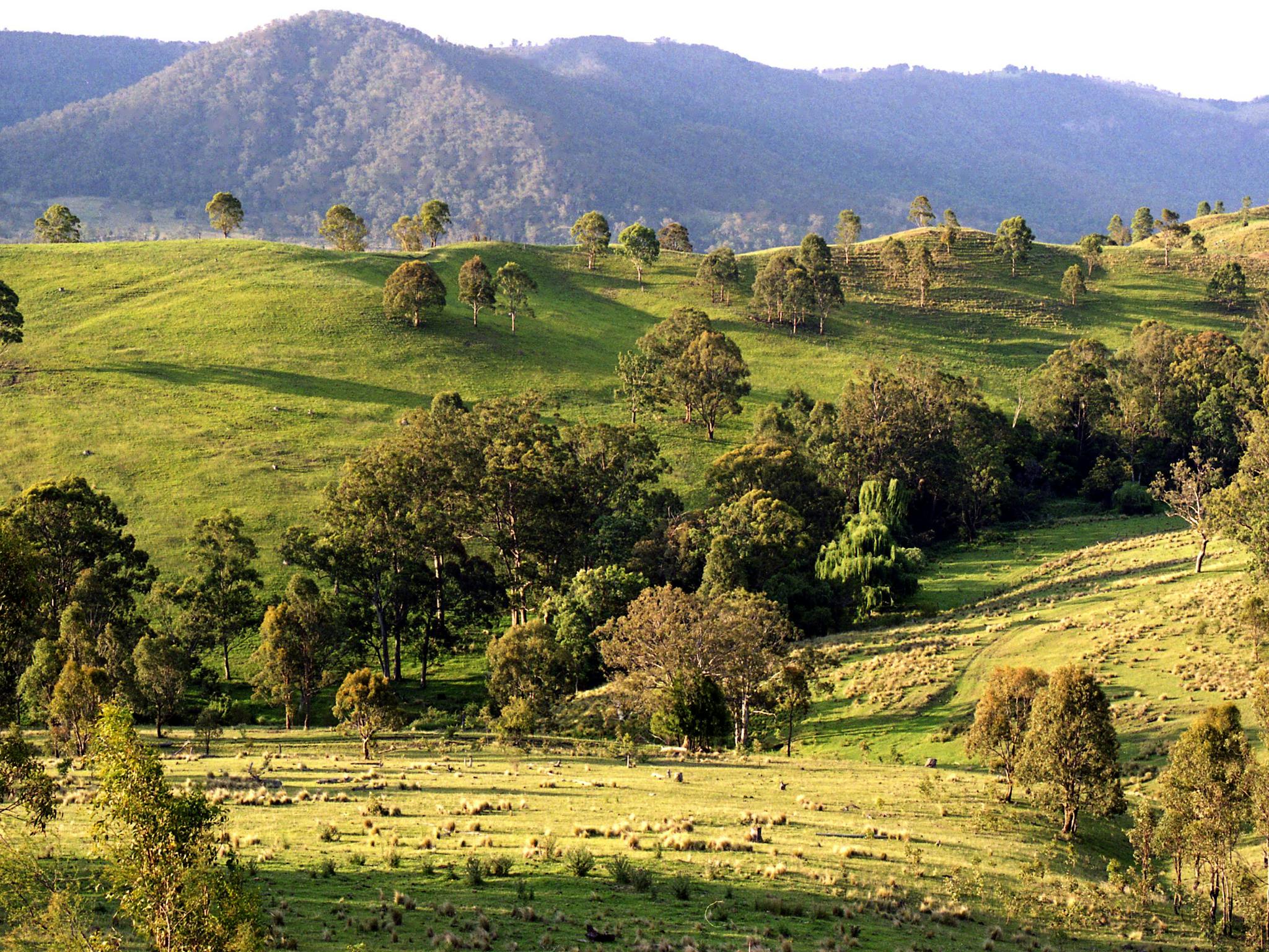 Goomburra Valley Goomburra Valley