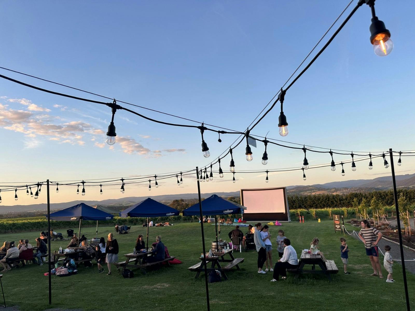 Tokar Estate Cinema In The Vines