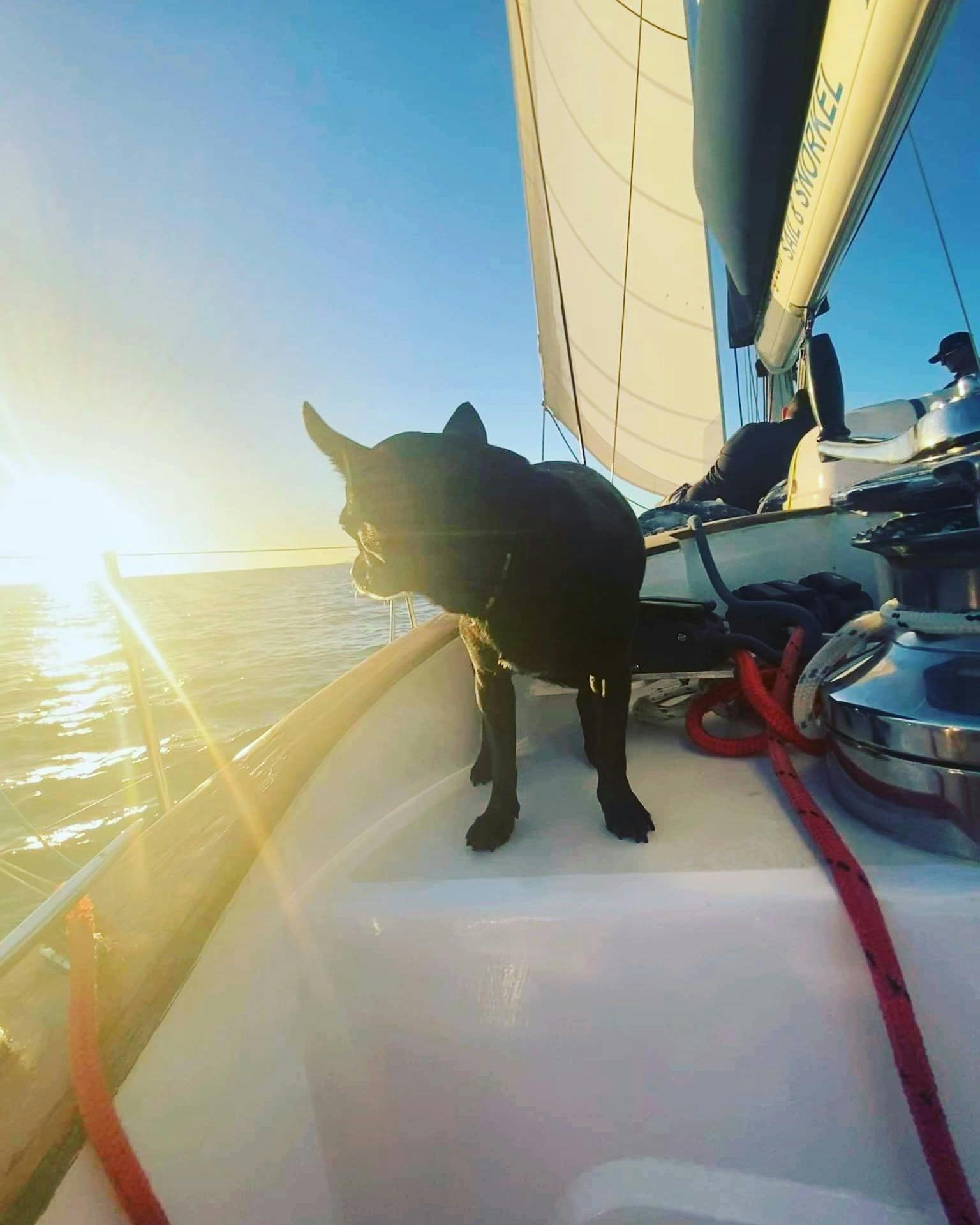 Sunset Sail on board Big Mama