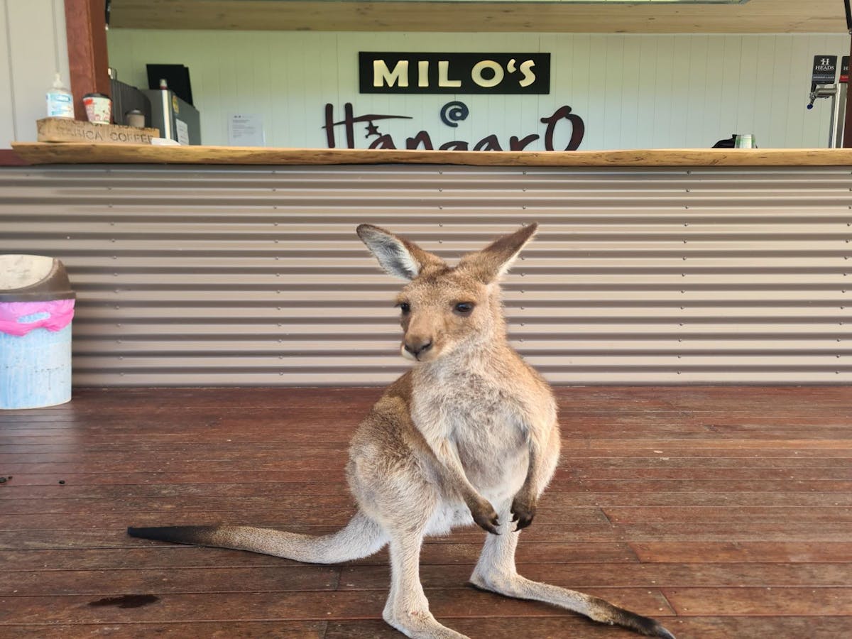 Milos