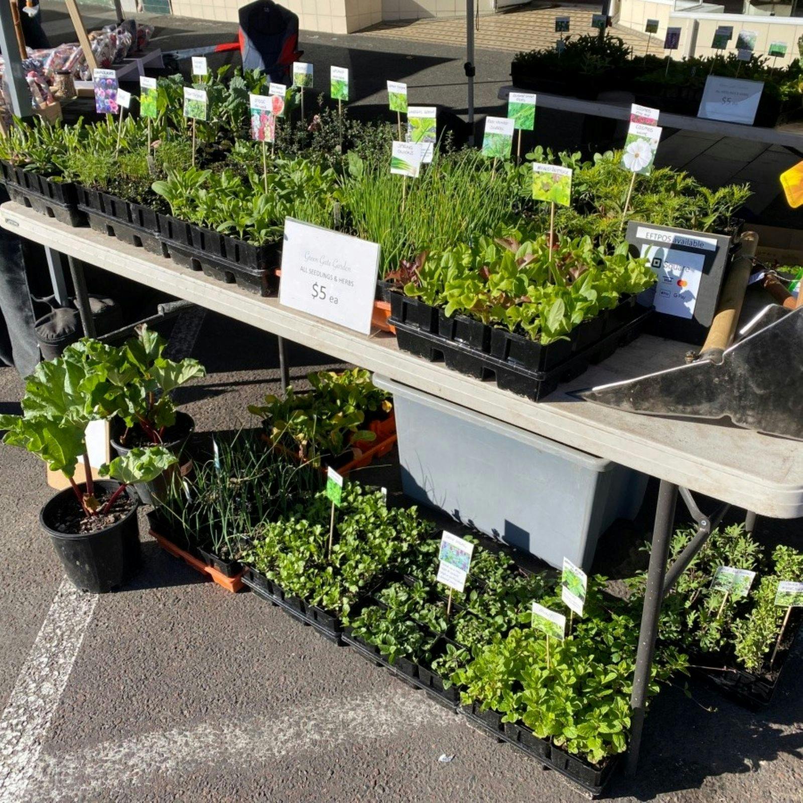 Plant stalls