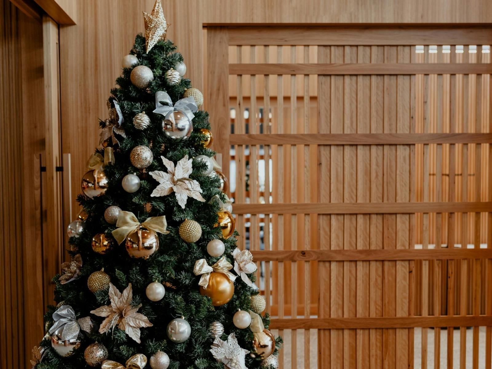 Christmas at Balgownie Estate