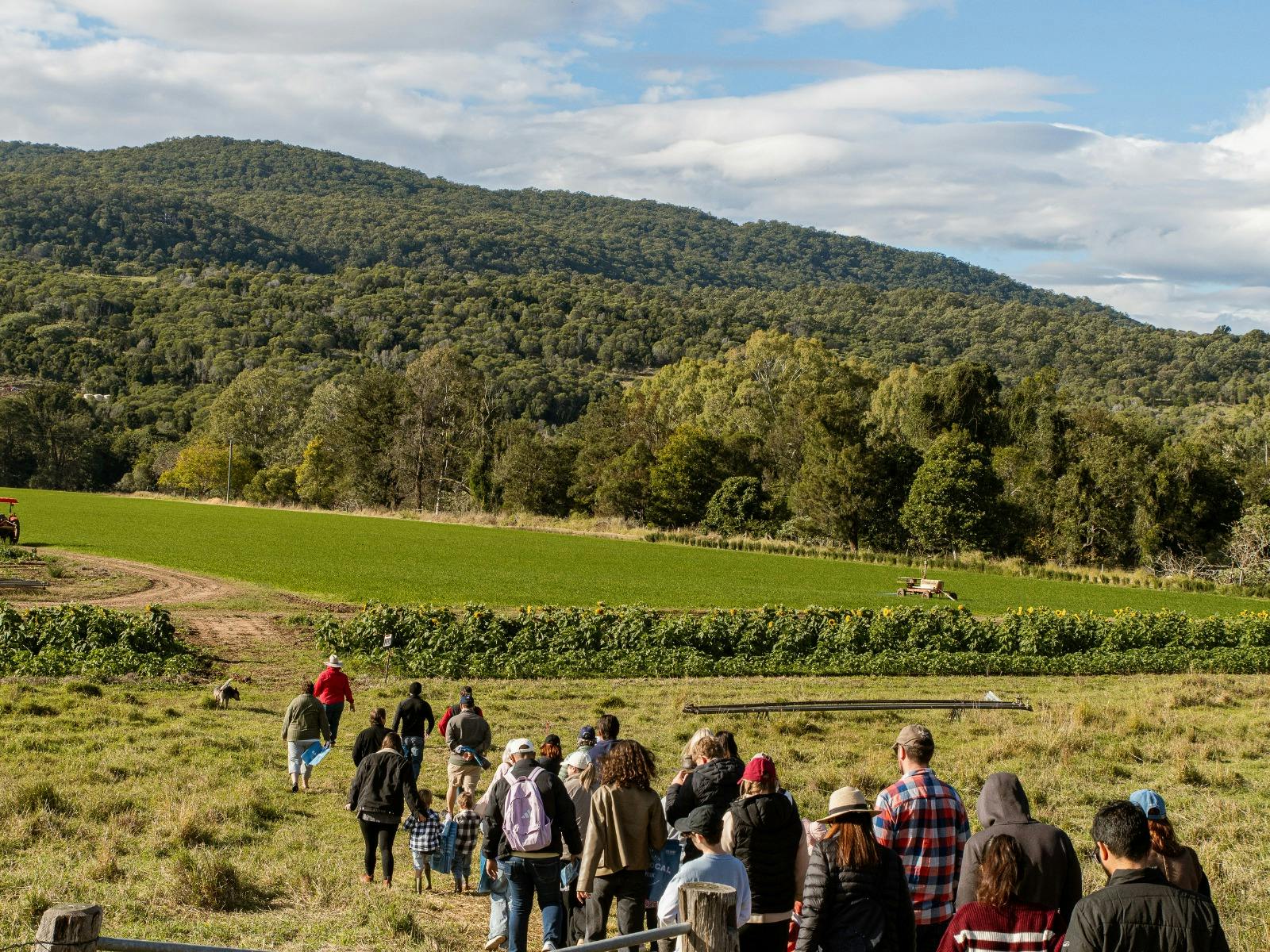 Large group of people walking onto a farm about to pick vegetables