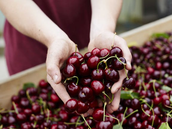 Yarra Valley Cherries