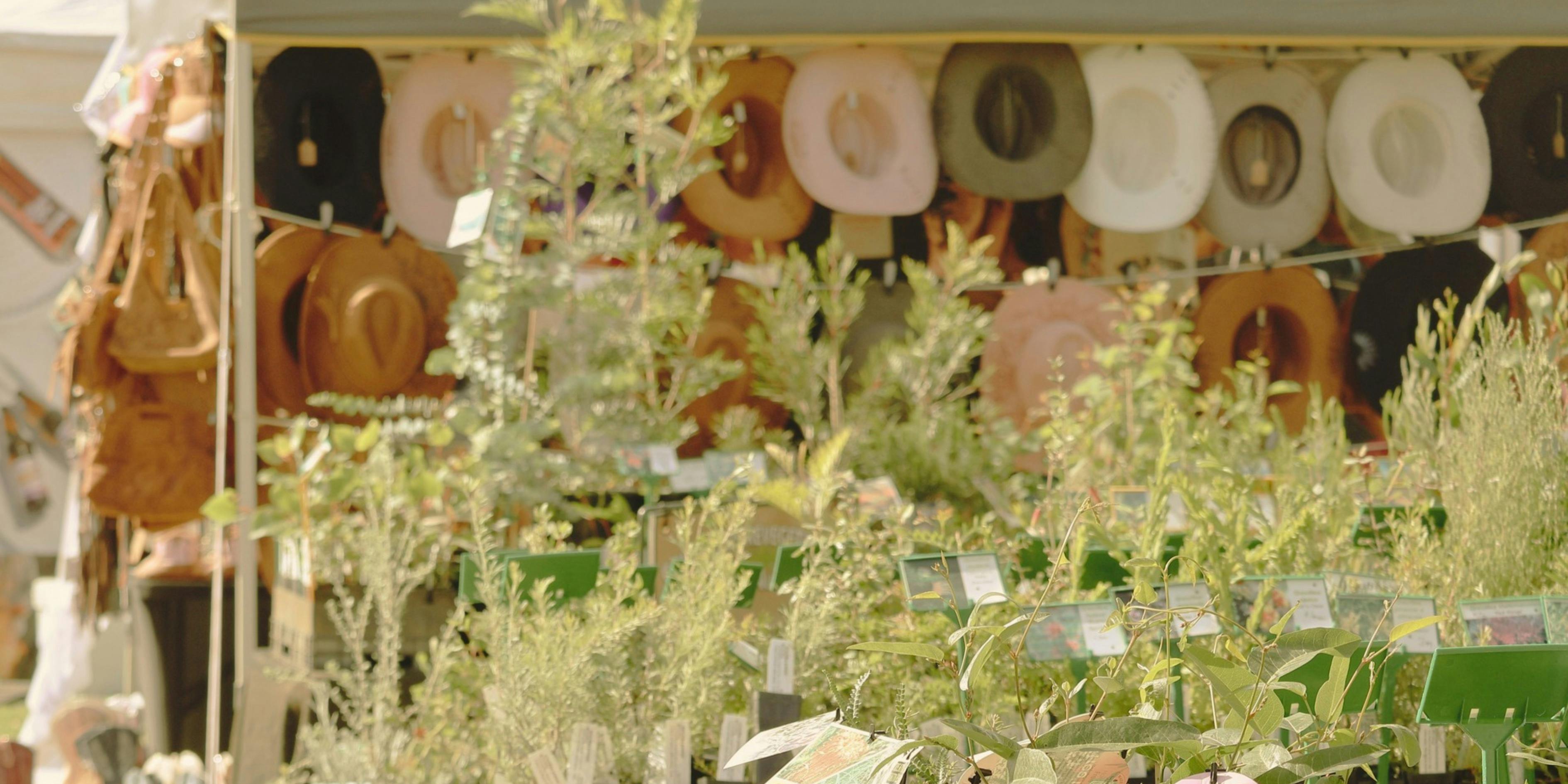Highlands Spring Market