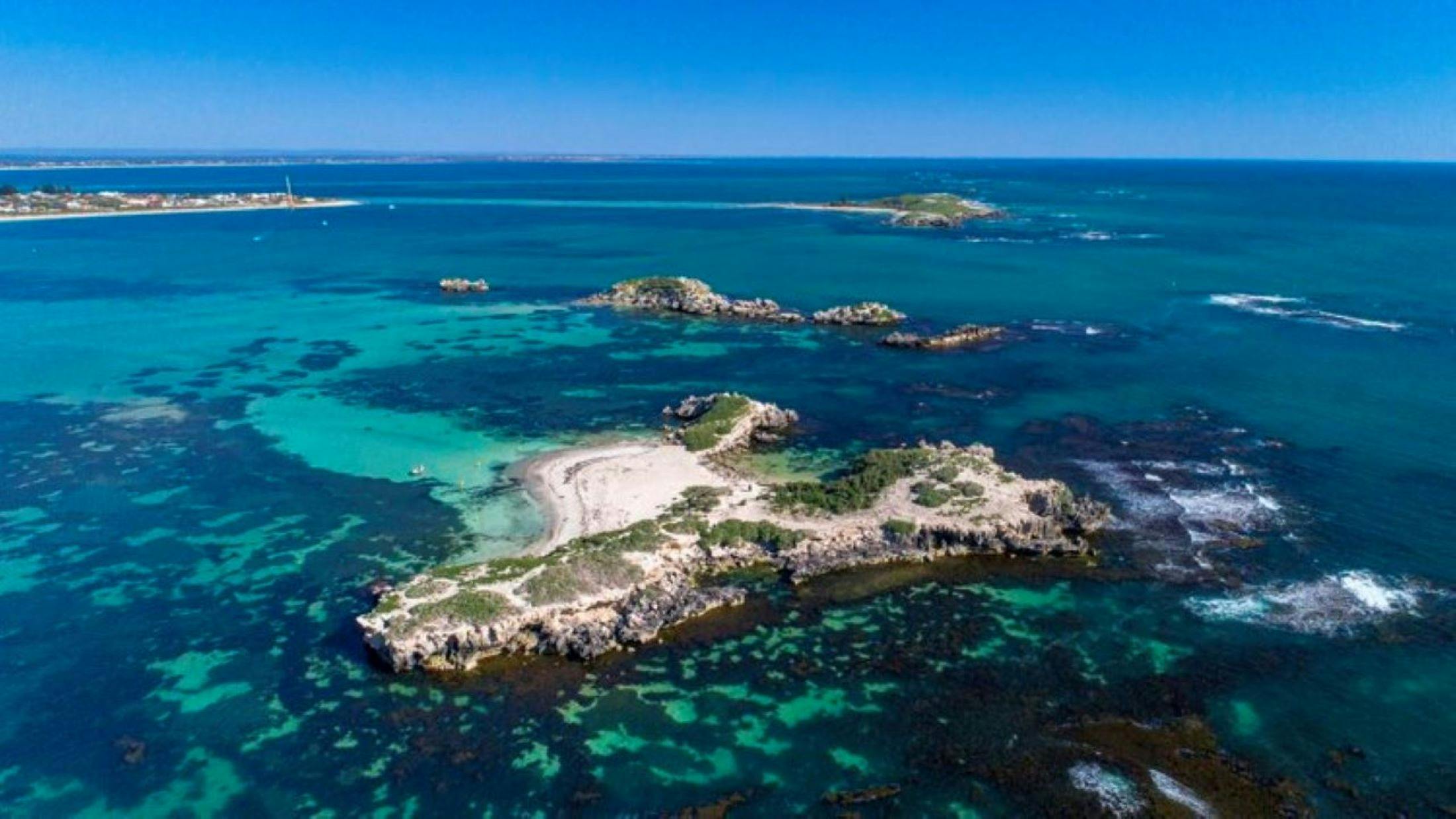 Bird eye view