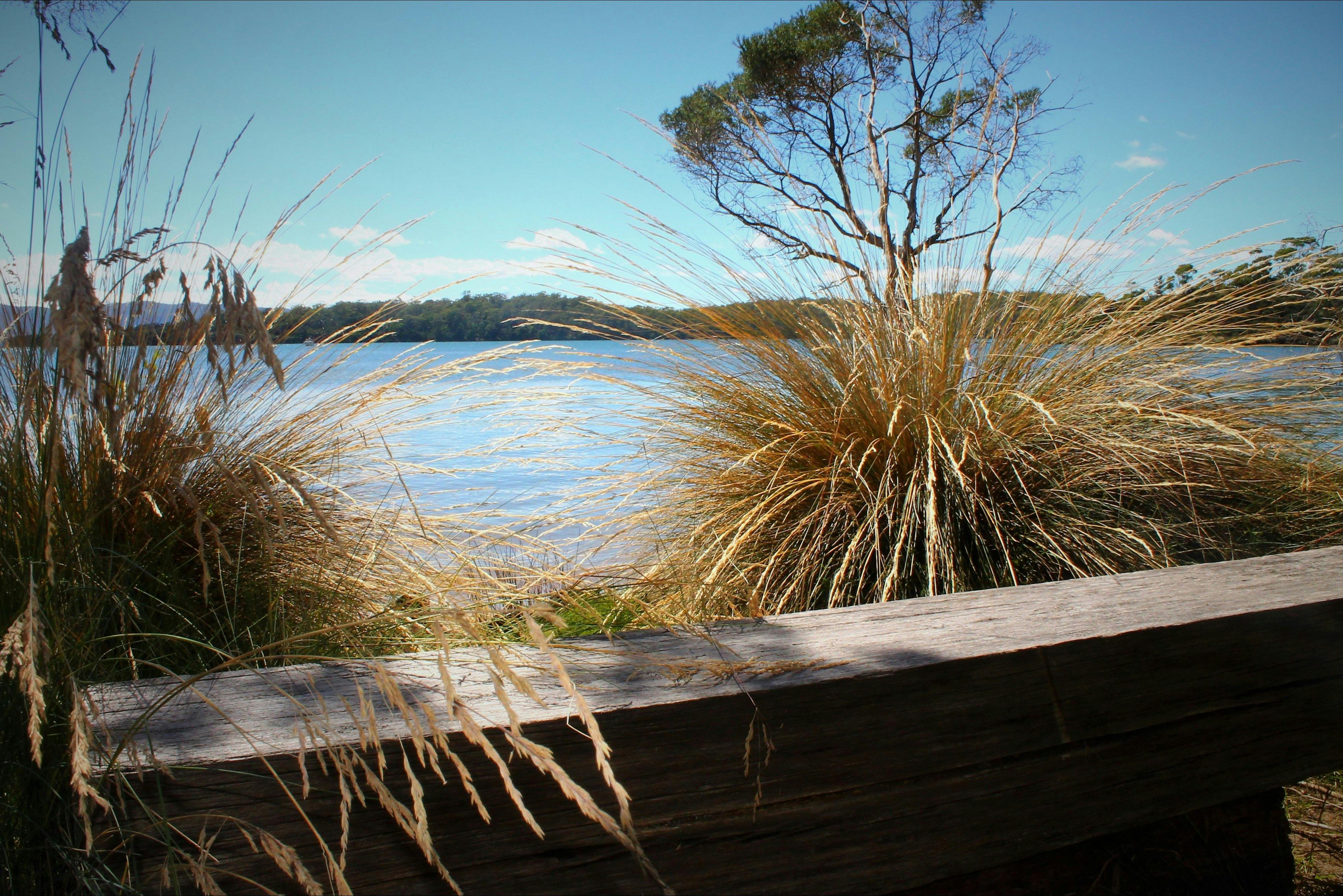 Beauty Point Cottages